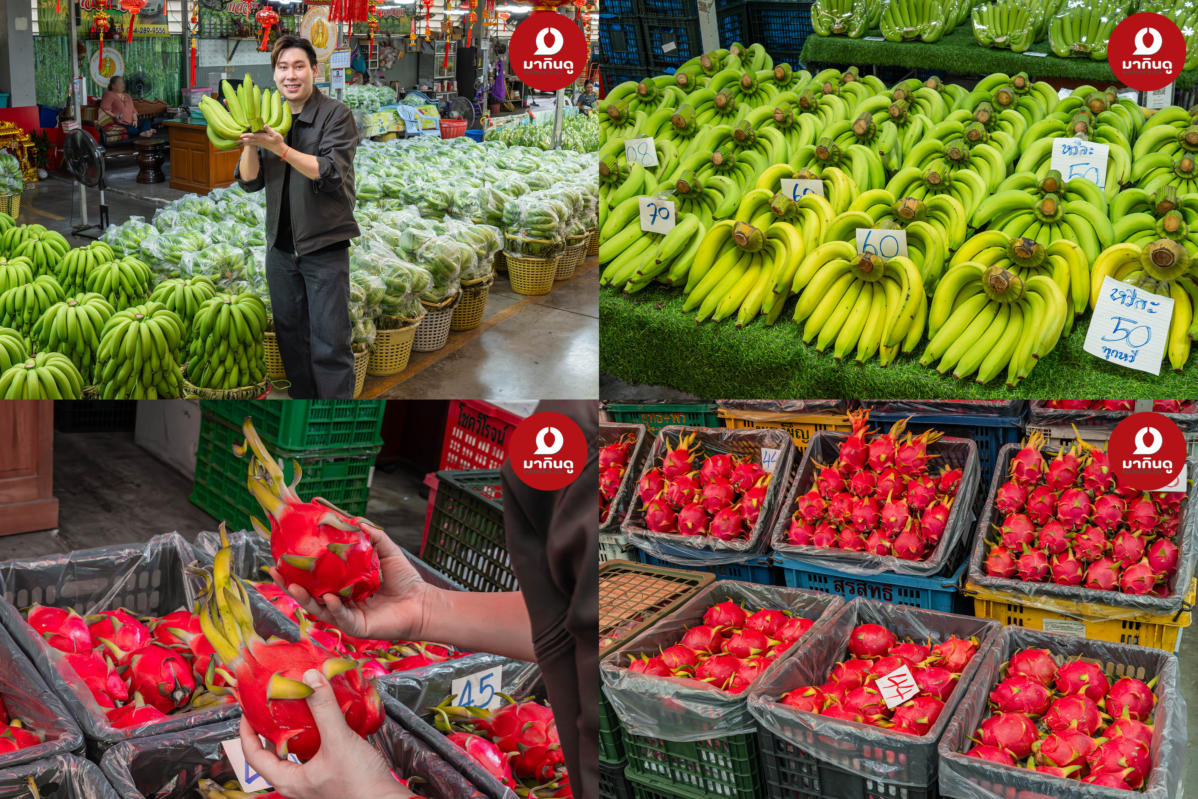  - ภาพประกอบ 6