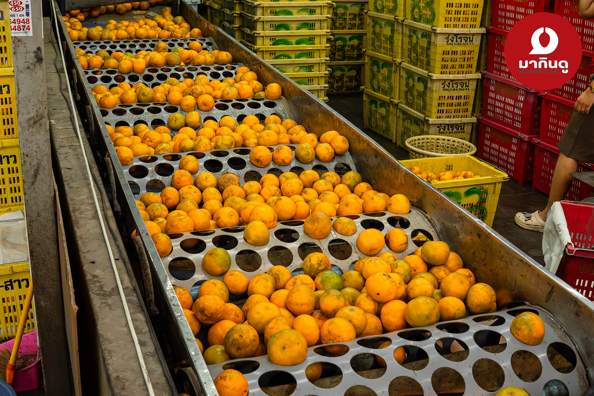  - สื่อประกอบ 5 (ภาพ)